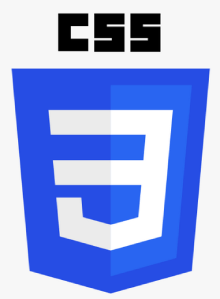CSS Training in dubai