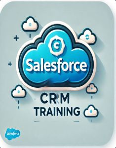 SalesForce Training in abu dhabi